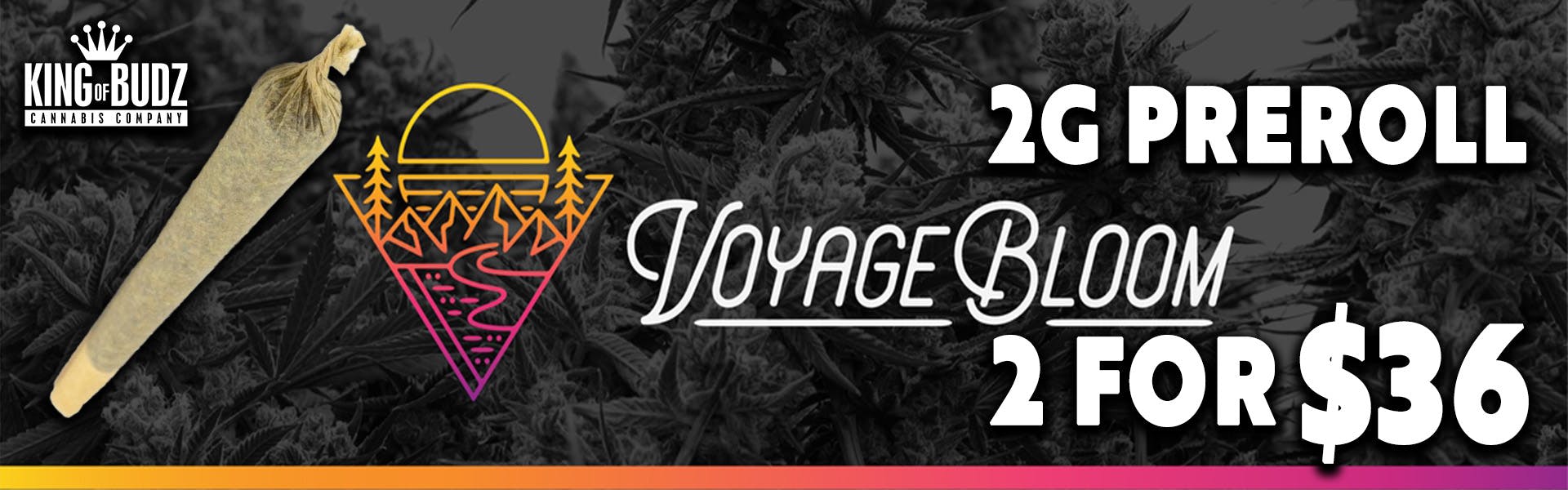 Voyage Bloom - 2g Preroll - 2/$36