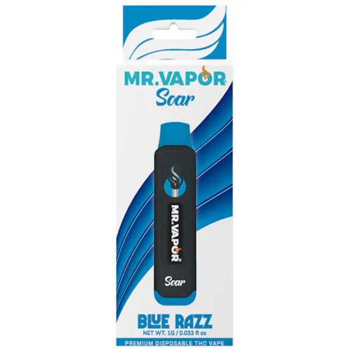 Mr. Vapor Blue Razz Disposable Vape Rec - Exclusive Cannabis Michigan