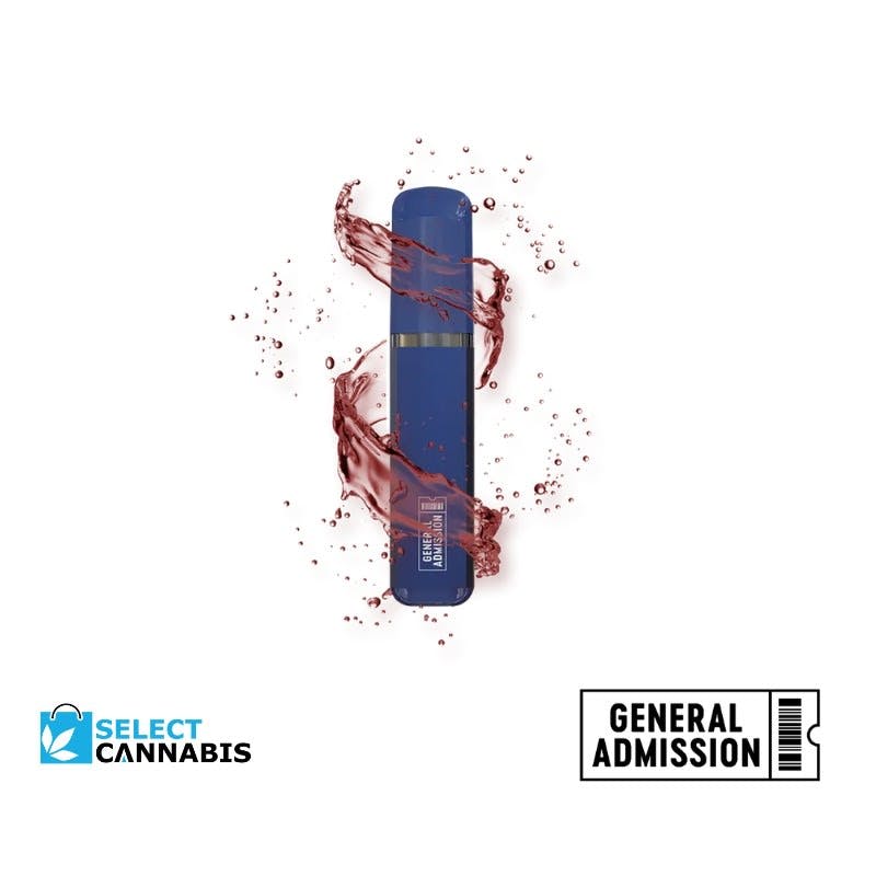 General Admission - Blue Razz Rechargeable AIO