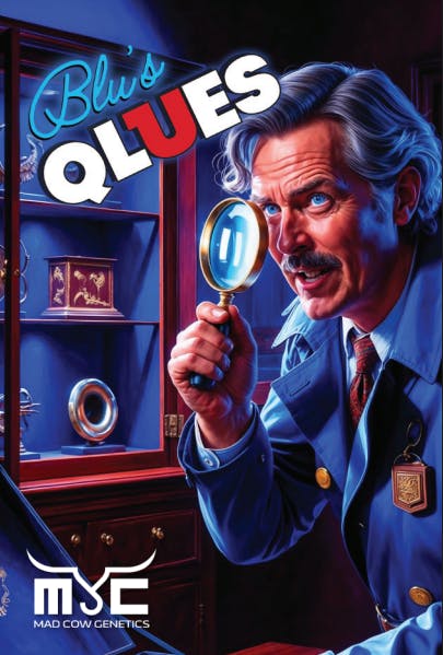 Grandiflora Blunt | Black Piranha