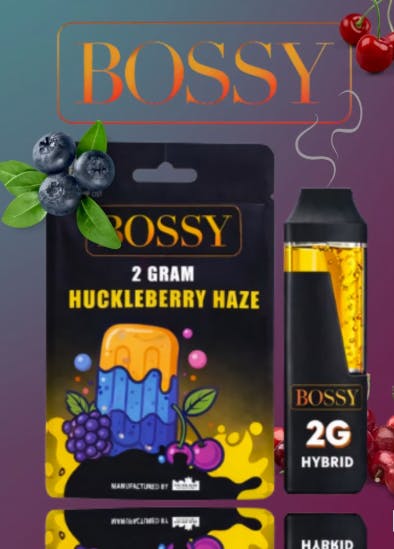 Bossy | Huckleberry | 2G Disposable