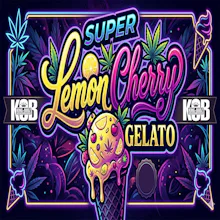 DELI - Super Lemon Cherry Gelato (Smalls)