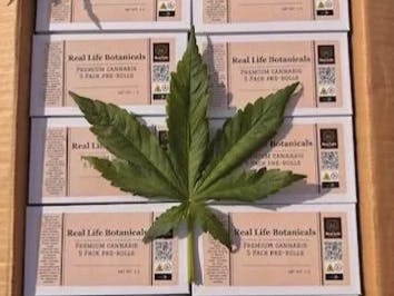 Real Life Botanicals | 1g Pre-Roll | Tangerine Punch