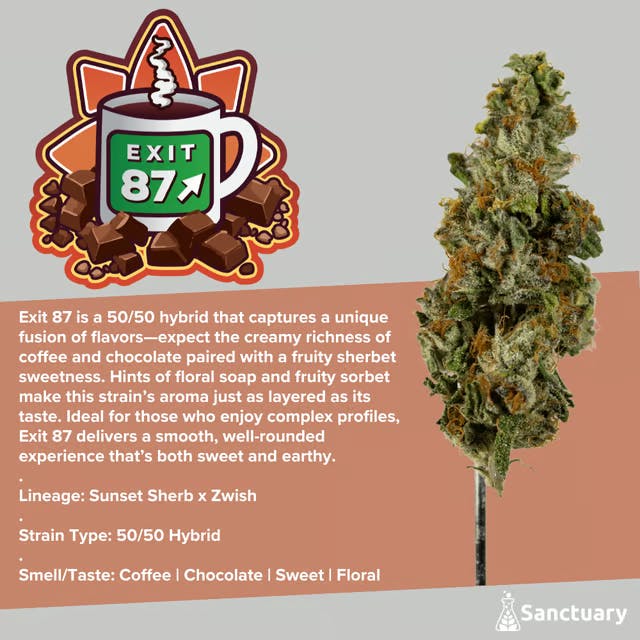 Sanctuary - Flower 3.5g - Exit 87