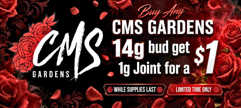 cms gardens disposable vape Rosin 101 — CMS Gardens main image 0
