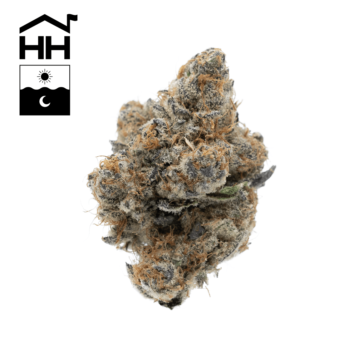 image of Animal Tree #13- 7g Smalls- Harbor House Collective
