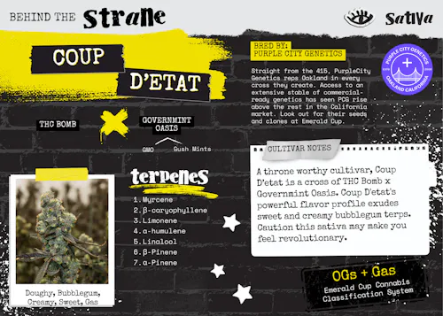 Coup Detat Pre-Rolls | 2 x 0.5g-1