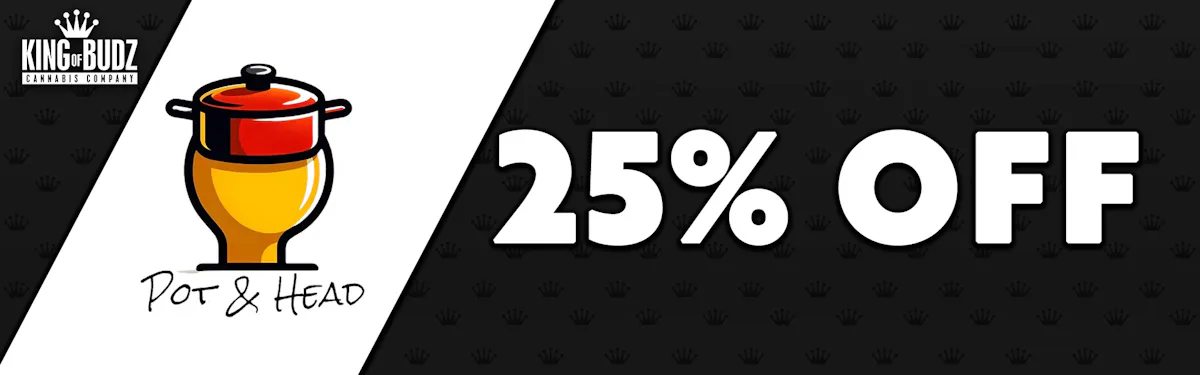 Pot AND Head Flower - 25 Percent OFF