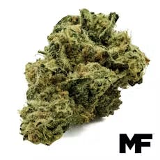 Daily Dose Common Citizen Flower