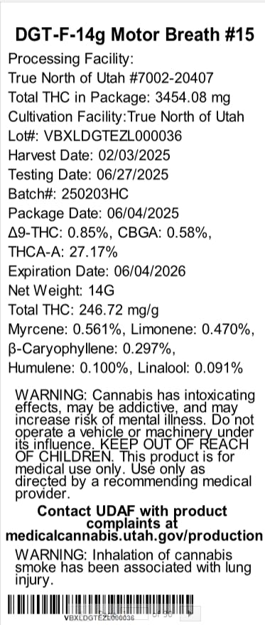 Motorbreath #15 Whole Flower