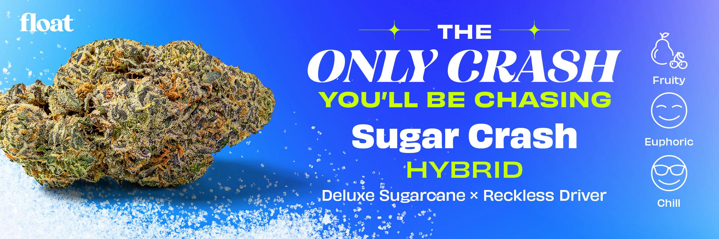 Sugar Crash Float Flower