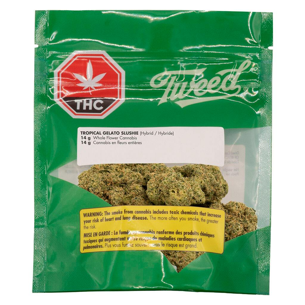 Tweed - Tropical Gelato Slushie