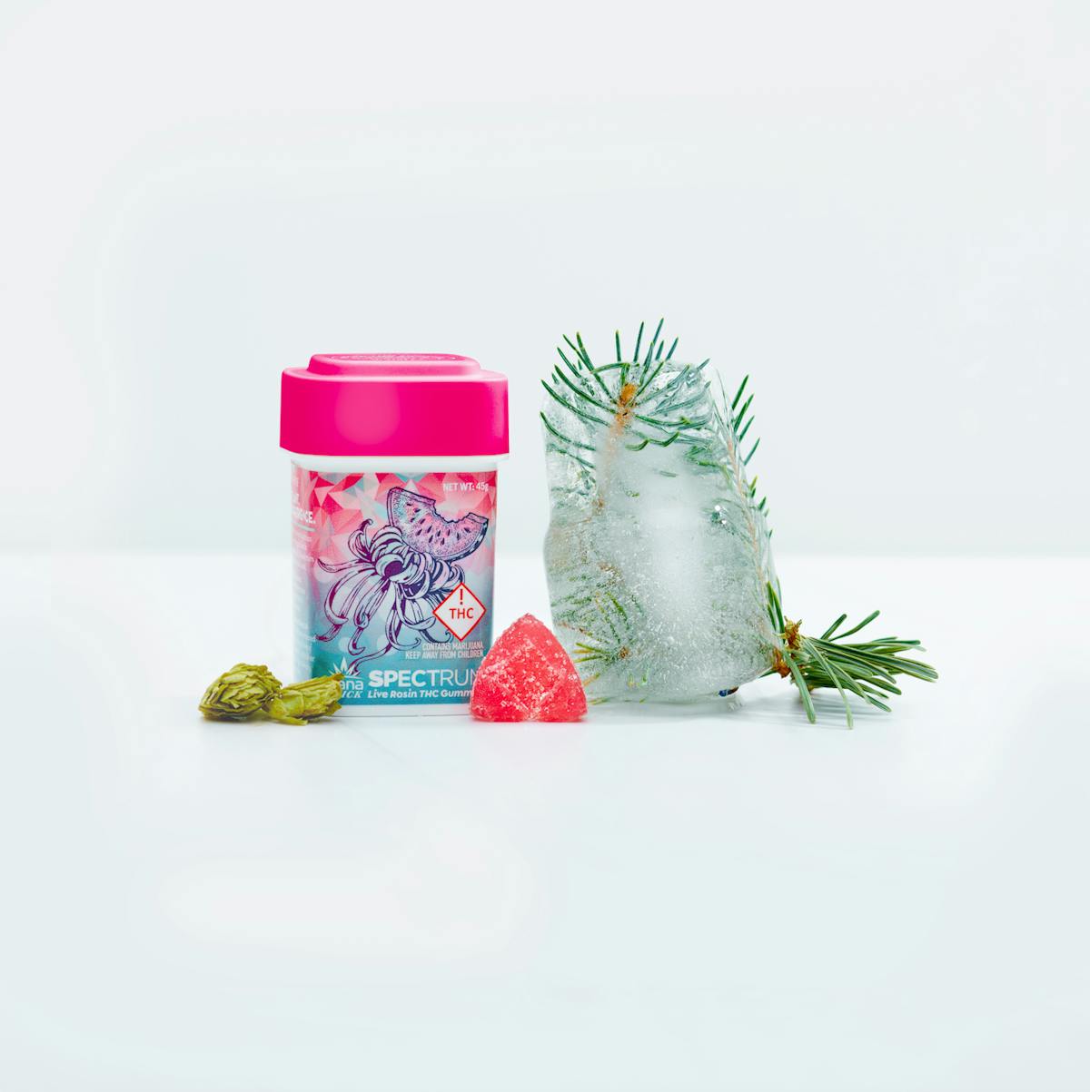 Photo of Wana – Live Rosin Gummies – Watermelon Slushy (H) 100mg
