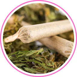 Pre-Rolls category image