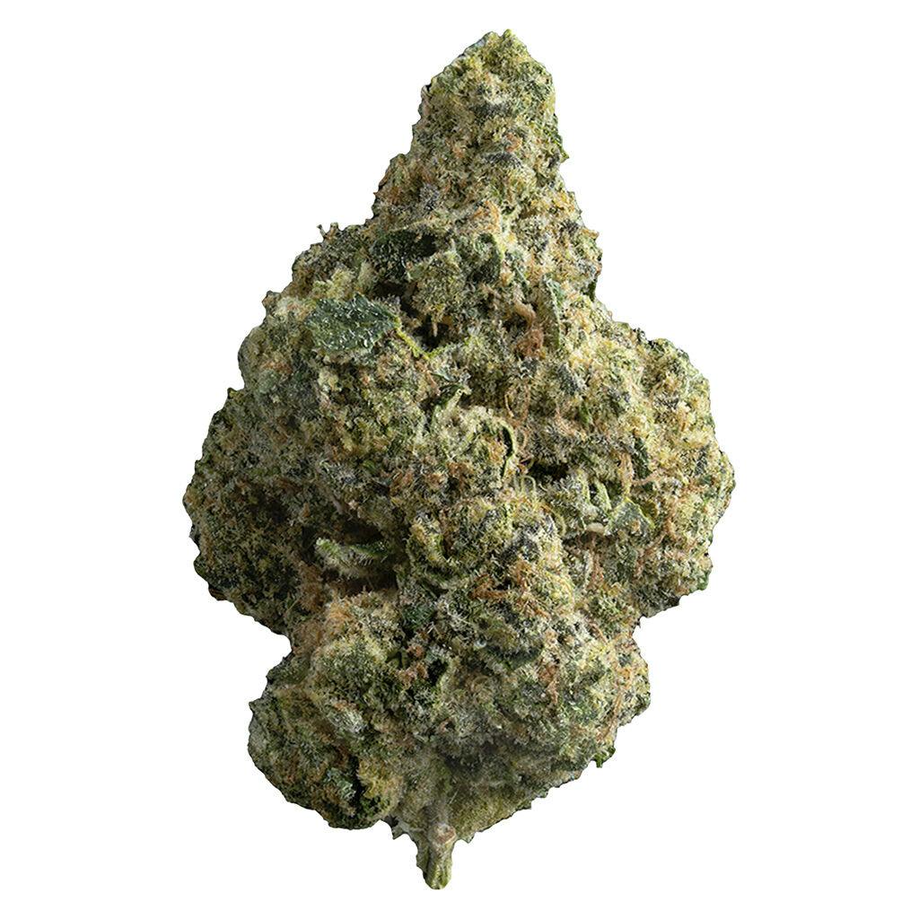 Flower | The Republic - Reserve 25 Plus - Indica