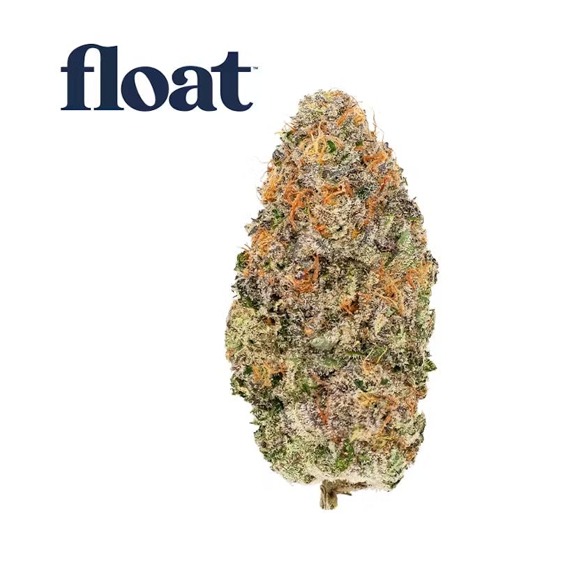 Product Float - Blueberry Waffle - Flower