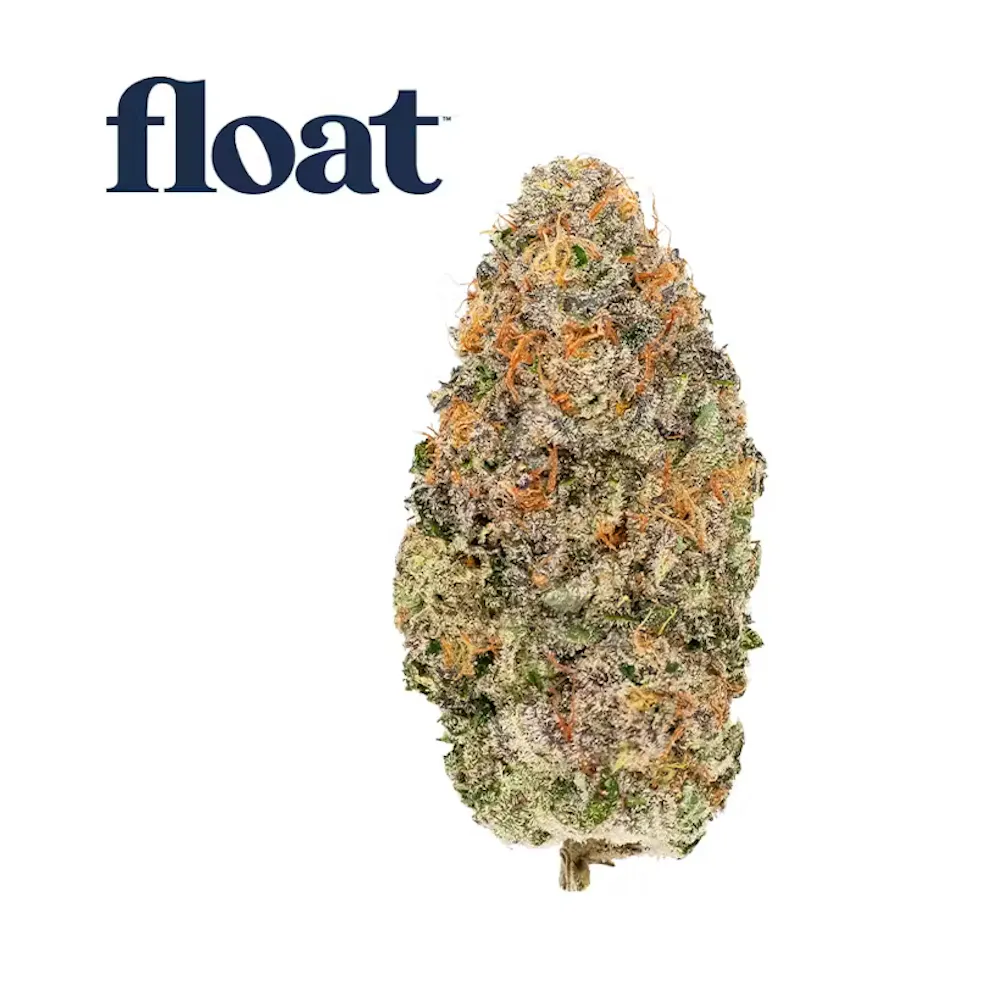Product Float - Blueberry Waffle - Flower
