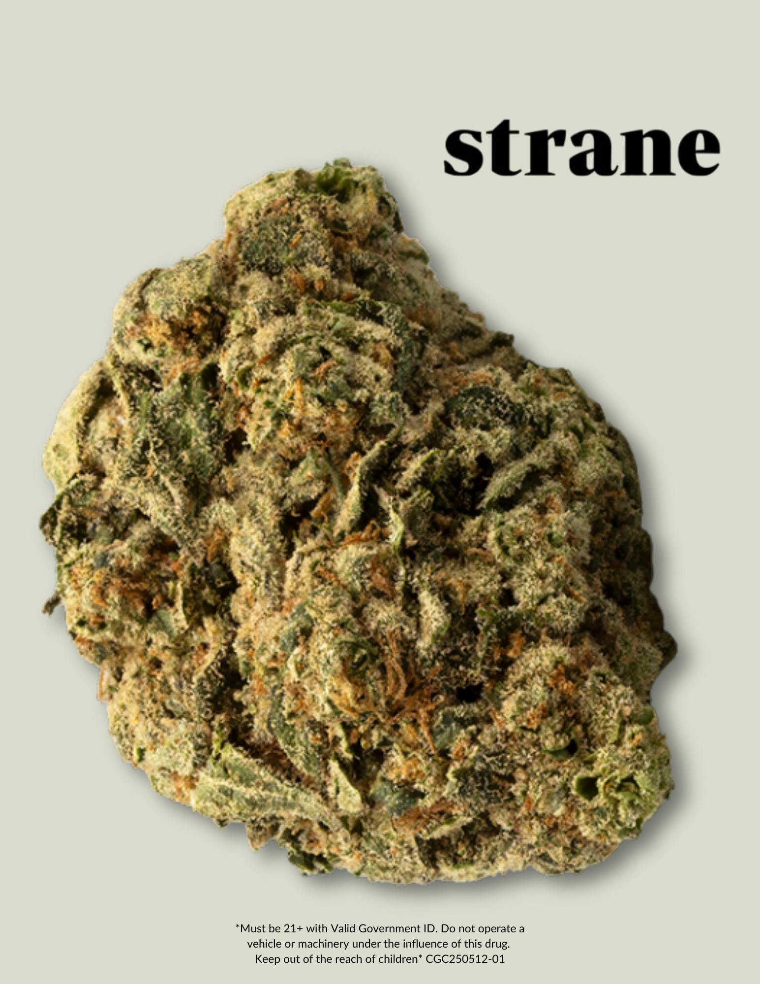 Strane 10Gs