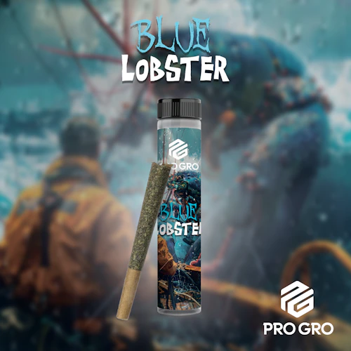 Pro Gro - 1g Preroll - Blue Lobster