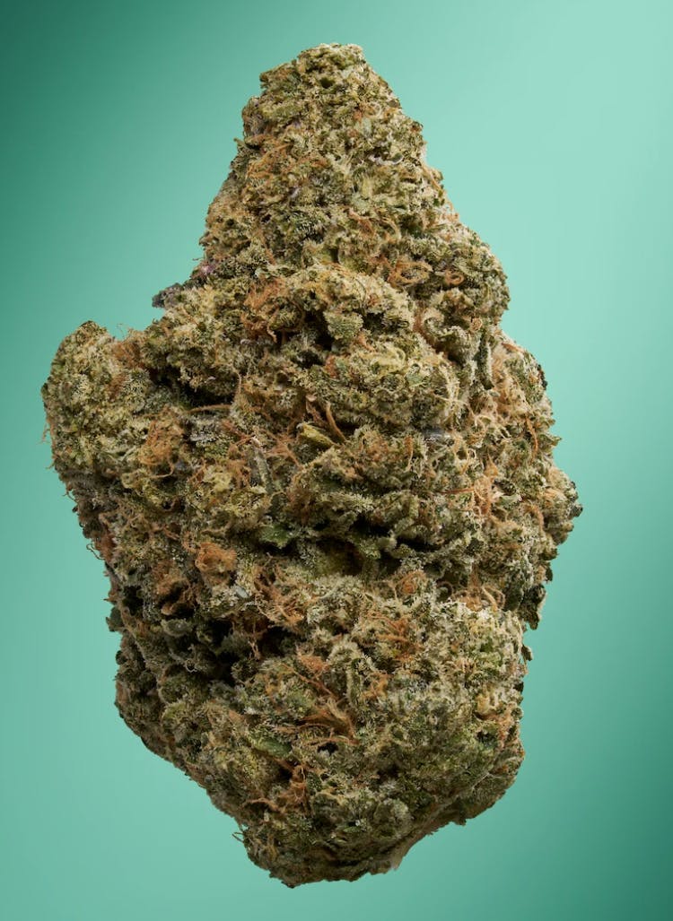 Product Tartz (H) Florette