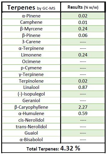 Indicol BC Rythm Pen T242.85 20690 Still River Wellness Rec