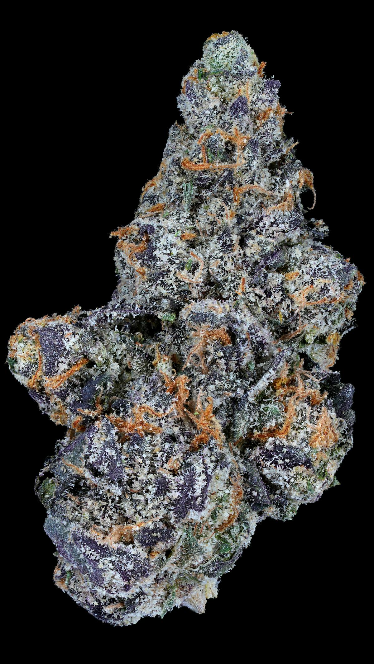 Photo of 41 Sunset
