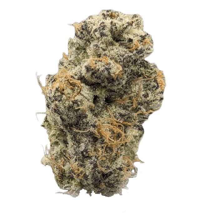 MPX Select Grape Pie Flower - 
