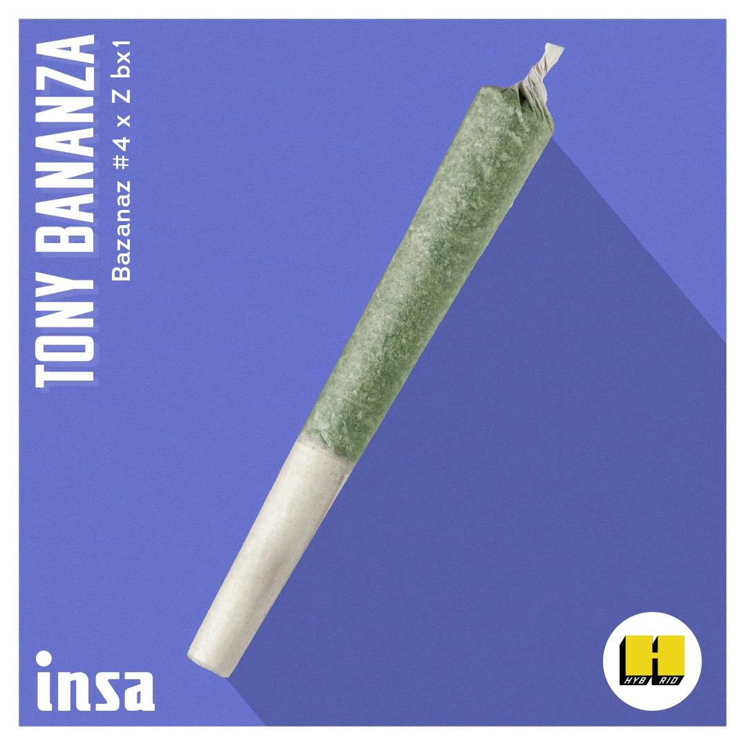 Pre-Roll - Tony Bananza