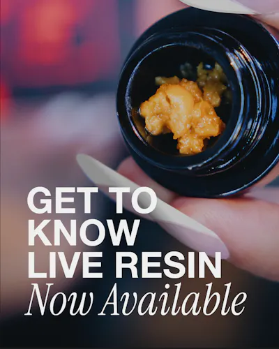 Garlic Cherry Gelato Live Sugar 1g – Fade Co.-1