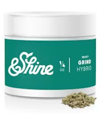 &Shine - Shake - Animal Face (H) (14.0g)