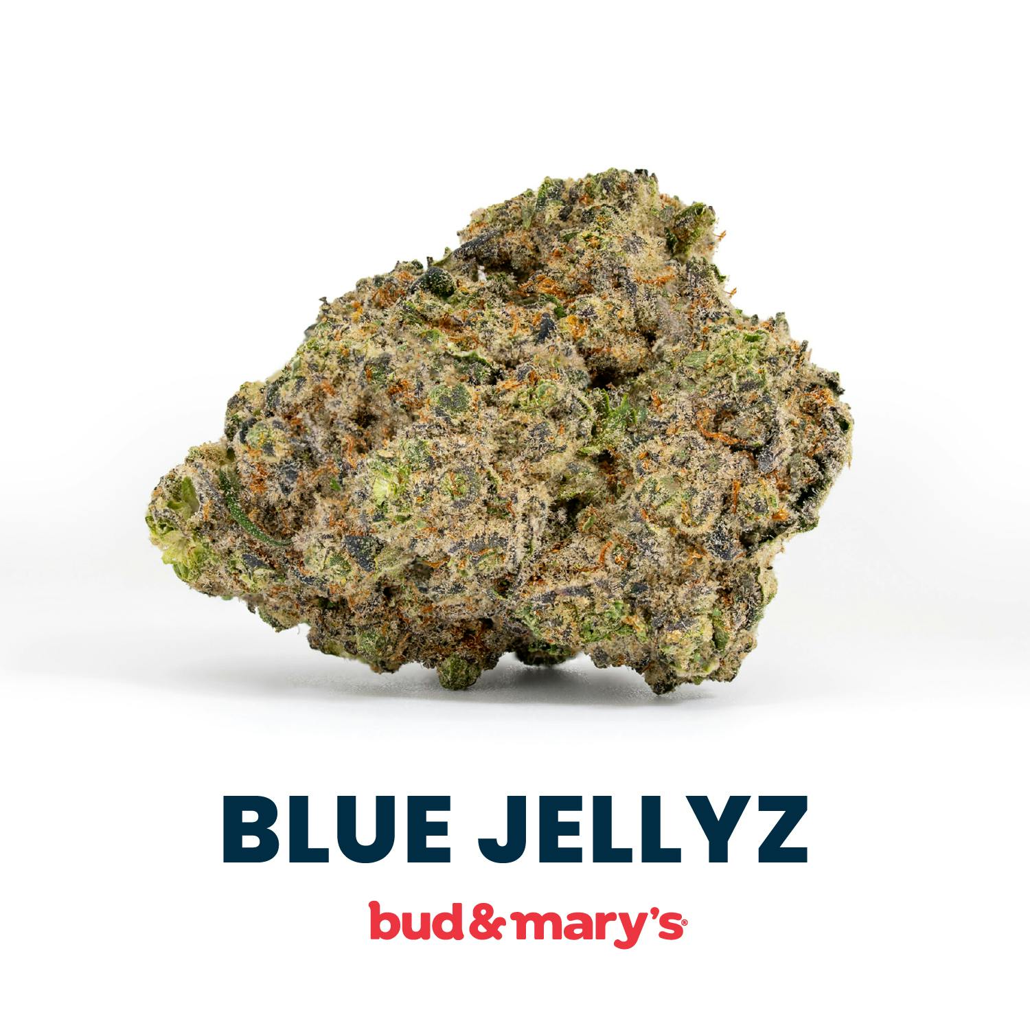 Product: Bud & Mary's | Bulk Bud - Blue Jellyz