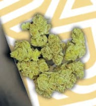 Product: GNG | V6 Haze | Flower - 3.5g