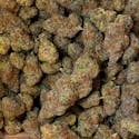 Orange Sherbet - Deli-Style - Your Highness - Thumbnail 2