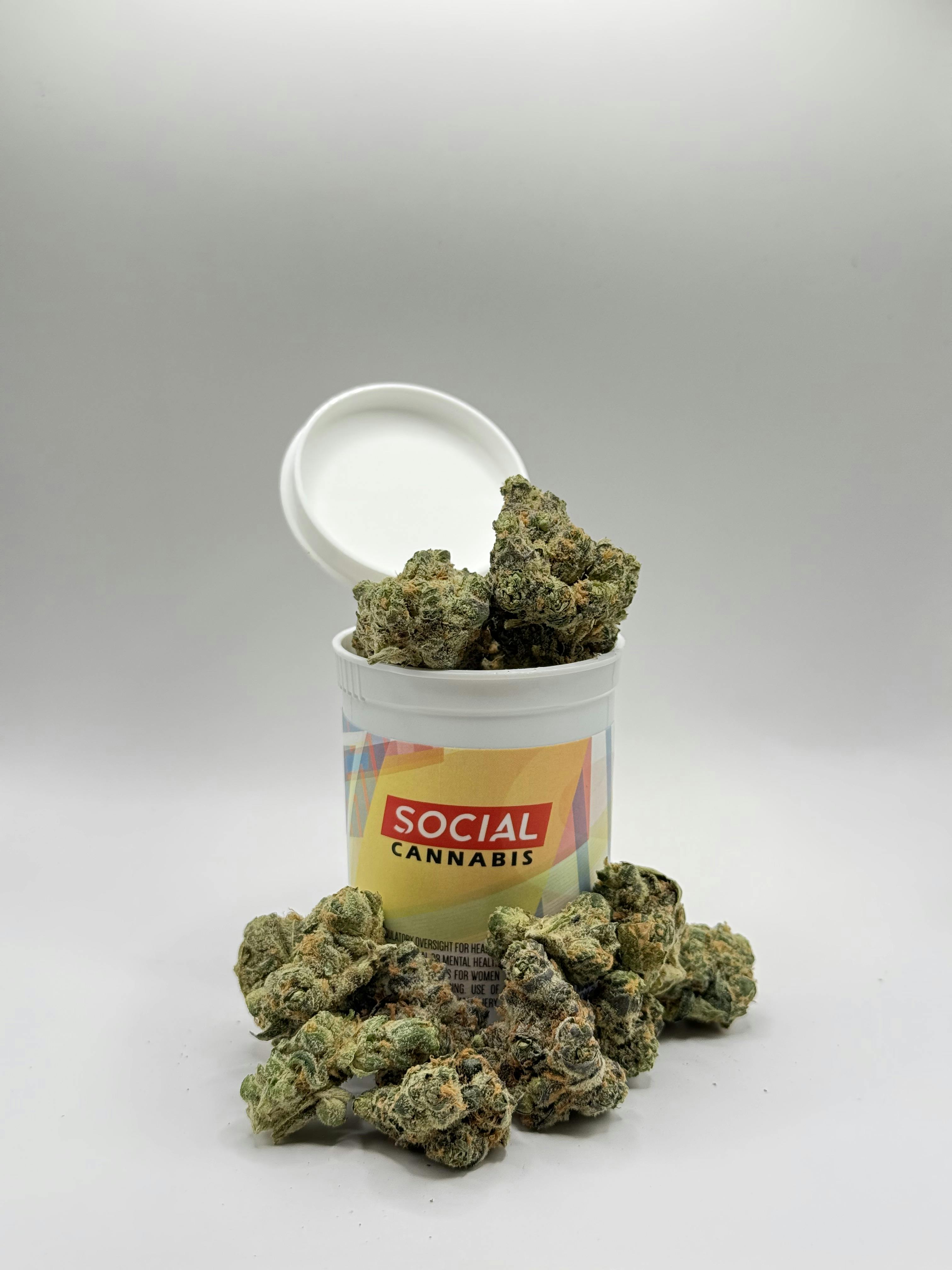 Photo of Silver Shelf – Monkey Berries (S)