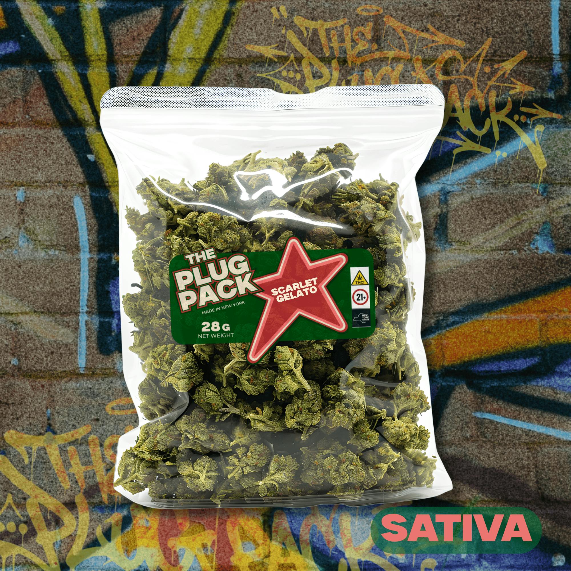 Scarlet Gelato | Whole Flower