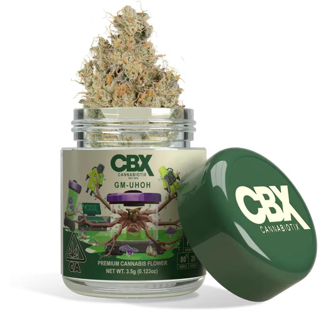 Los Angeles Dispensary: STIIIZY Blue Dream - Infused Premium