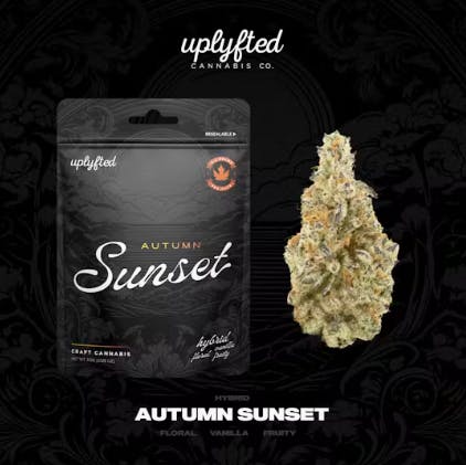 Product: UPLYFTED | AUTUMN SUNSET | PREPACK HYBRID