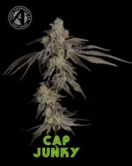 Product: Cap Junky [3.5g]