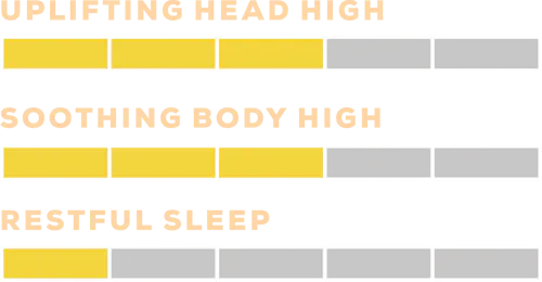 Sour Peach Mango Mega Pearl | Rosin Gummies | 100mg-1