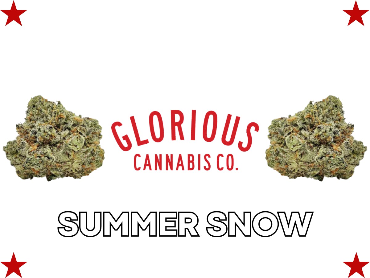 GLORIOUS CANNABIS CO. | SUMMER SNOW | BULK | HYBRID