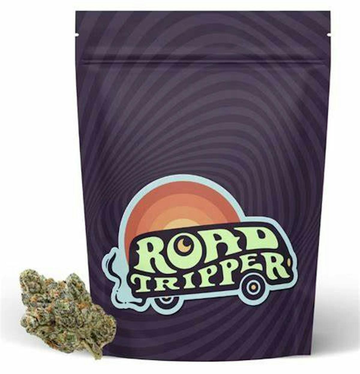 Photo of Road Tripper | Purple Mountain Majesty | Flower