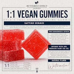 Gummy Watermelon 1:1 CBD:THC | 220mg