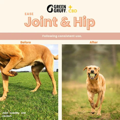 Photo of EASE Hip & Joint Dog CBD Chew – 24ct.