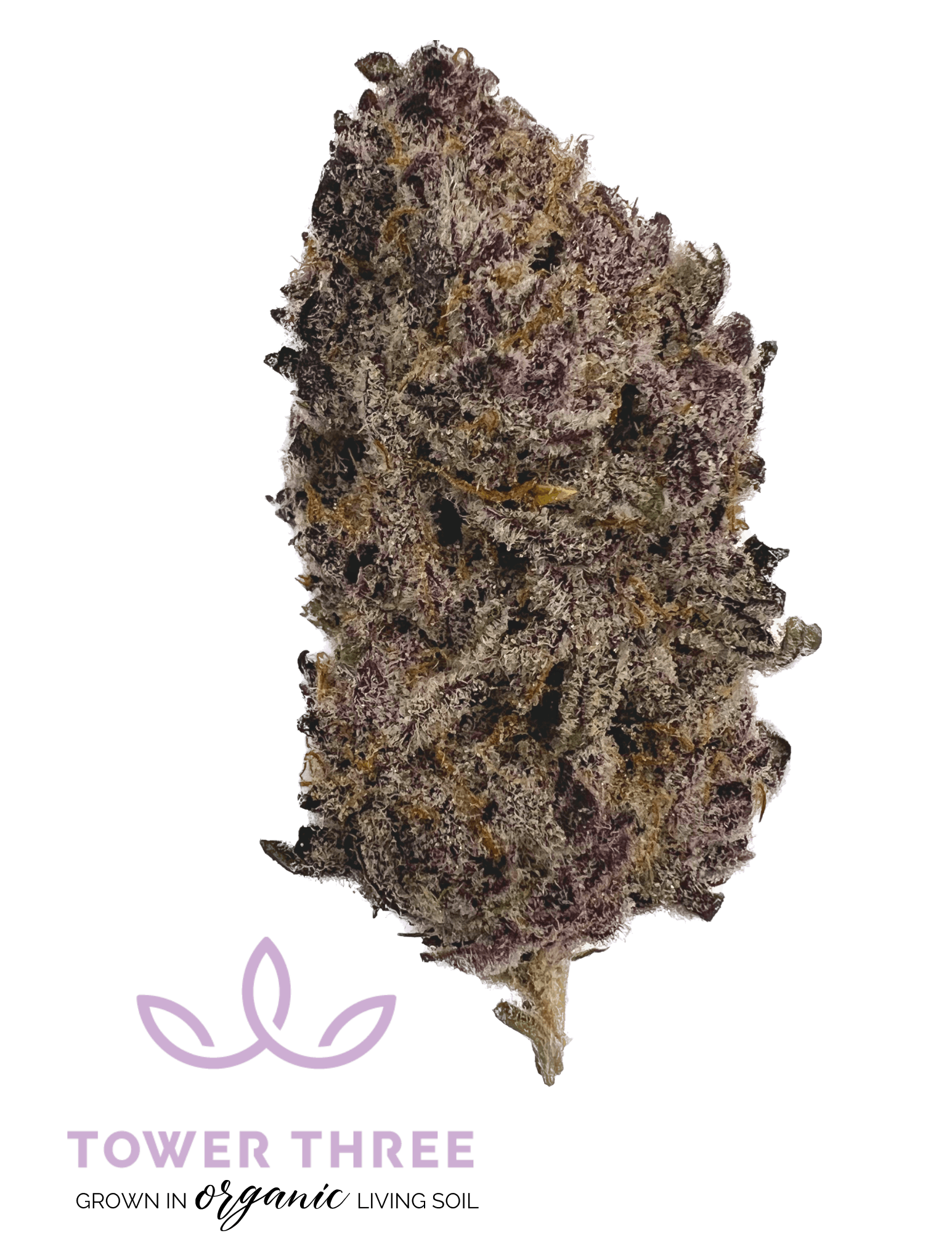 Photo of Super Boof Cherry 3.5g Tower Three