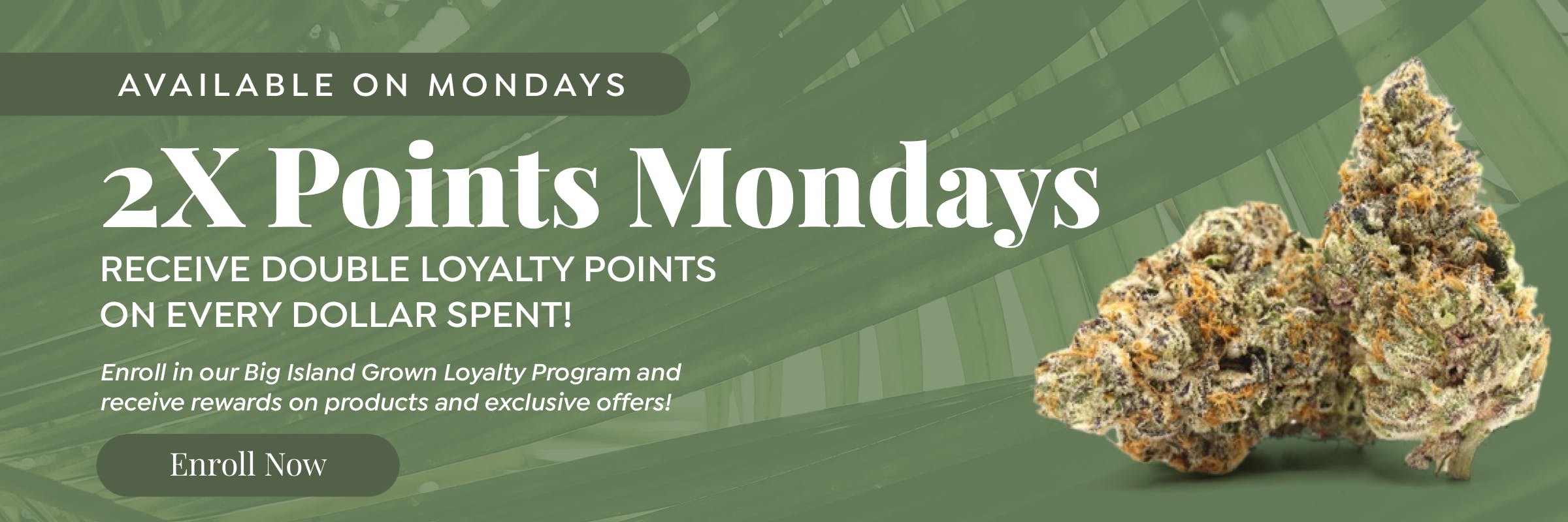 Big Island Grown Loyalty Program