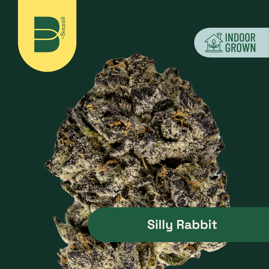 The Botanist Silly Rabbit 1g Pre-Roll-1