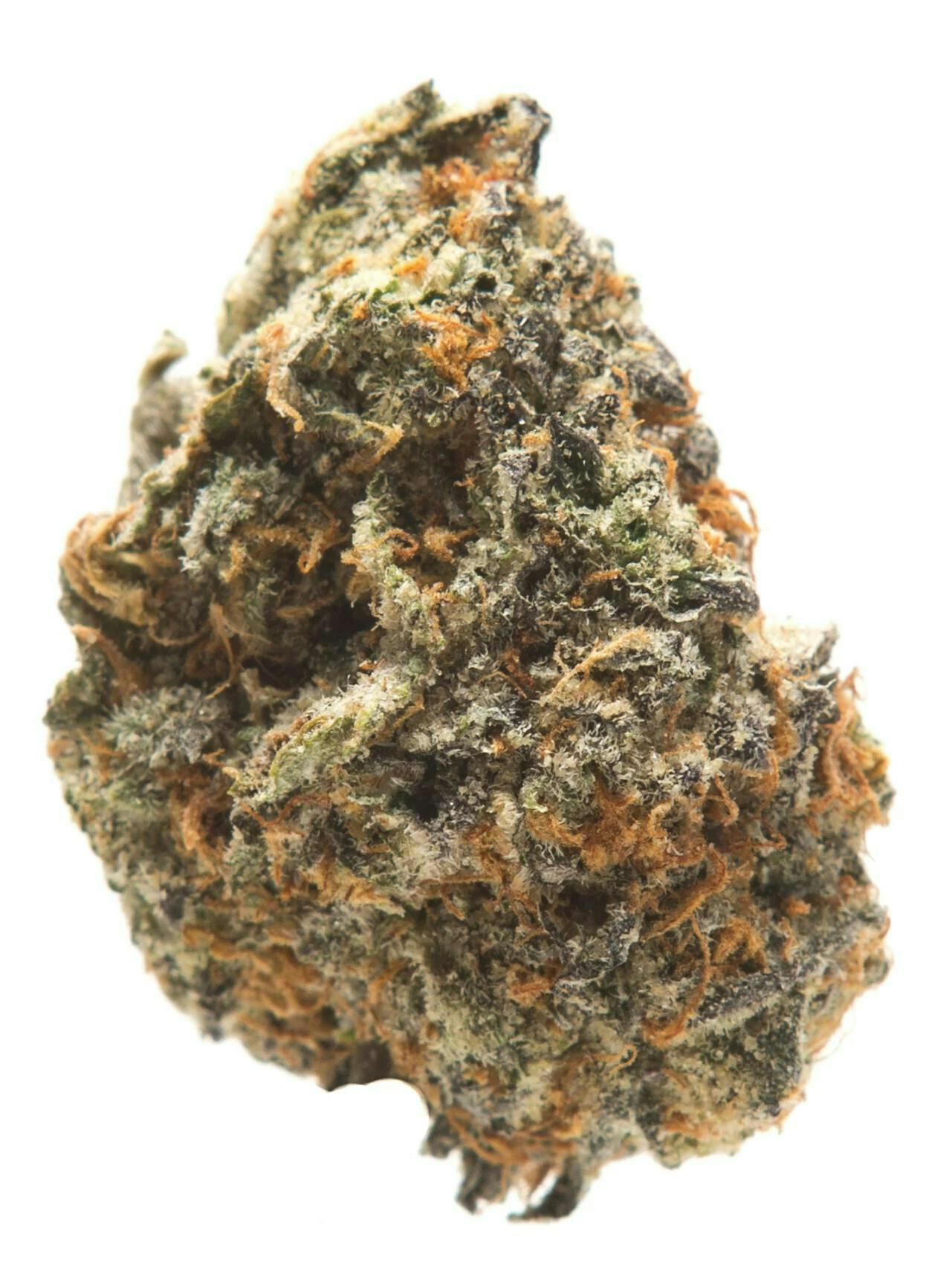 Dragonfly GATSBY CANNABIS CO. | GELATO MINTZ OG | PRE-PACK HYBRID — FLOWER