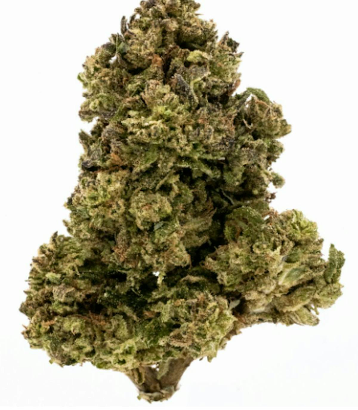 Photo of Platinum Shelf – Boss Drank (H)
