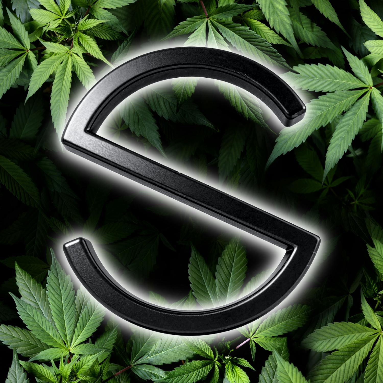 logo for Stability Cannabis - NW 63rd