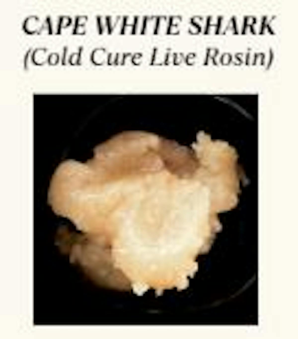 Image of Cape White Shark | 1g Live Rosin | Cold cured